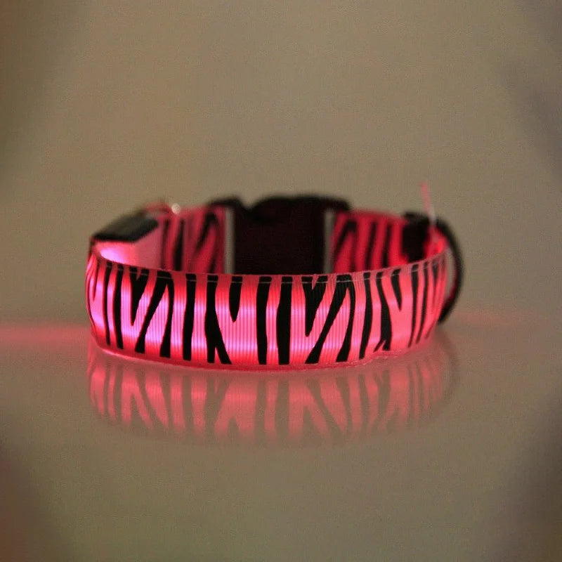 Dog Collar Light Personalized Collars Cat Necklace Luminous Pets Accessories Halsband Hond Products All For Dogs
