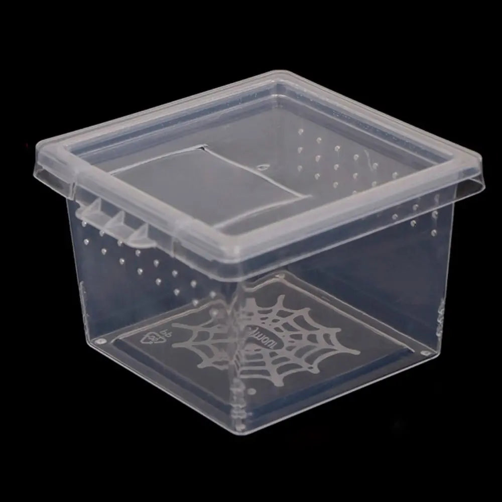 Accessories for Scorpion Spider Ants Transparent Plastic Reptile Habitat Lizard Living Box Hatching Tank Insect Feeding Box
