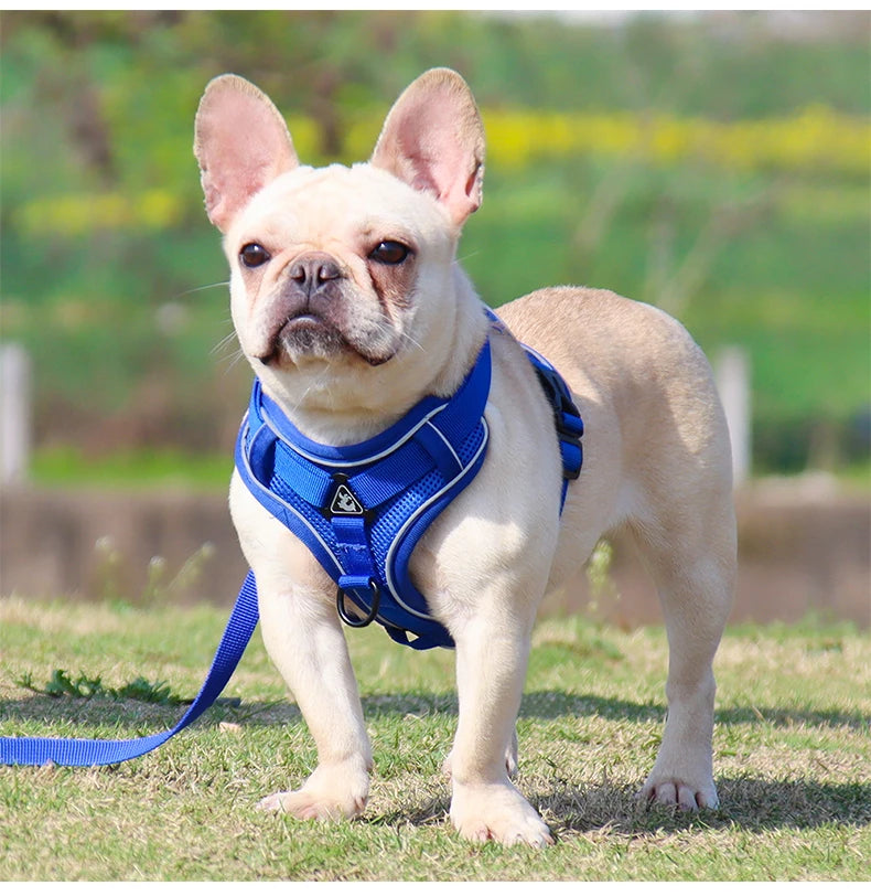 3pc Cat Harness Vest Adjustable Reflective Collars Cute Walking Lead Leash Set Harnesses Necklace For Small Dogs Cat Accessories