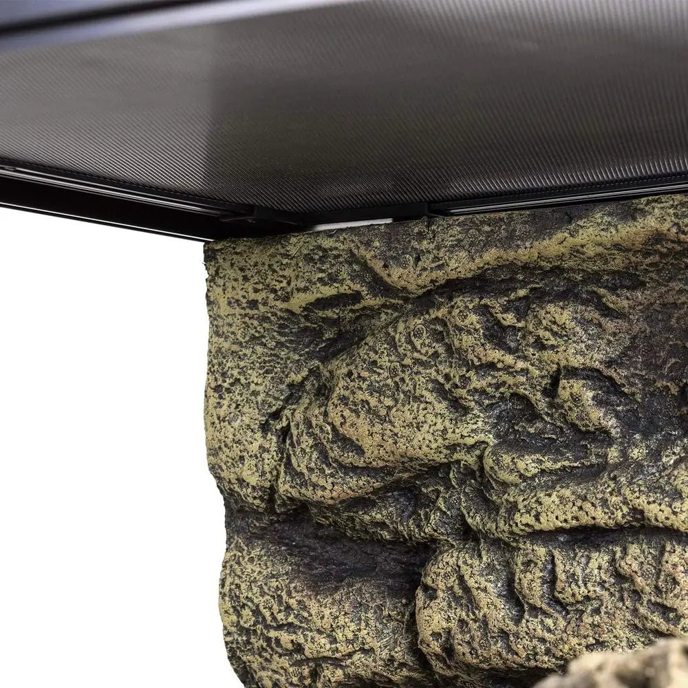 24 x 18 x 18 Large Glass Reptile Tank with Foam Backs, Double Hinged Door & Screen Vent