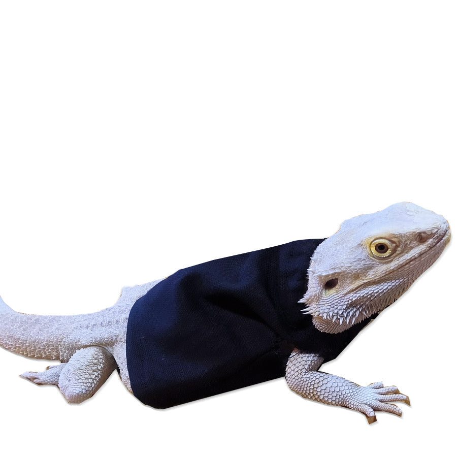 Fashion Bearded Dragon Clothes Costume Accessories Warm Apparel Clothing Hand-made Warm Coat Jackets for Small Animal Geckos