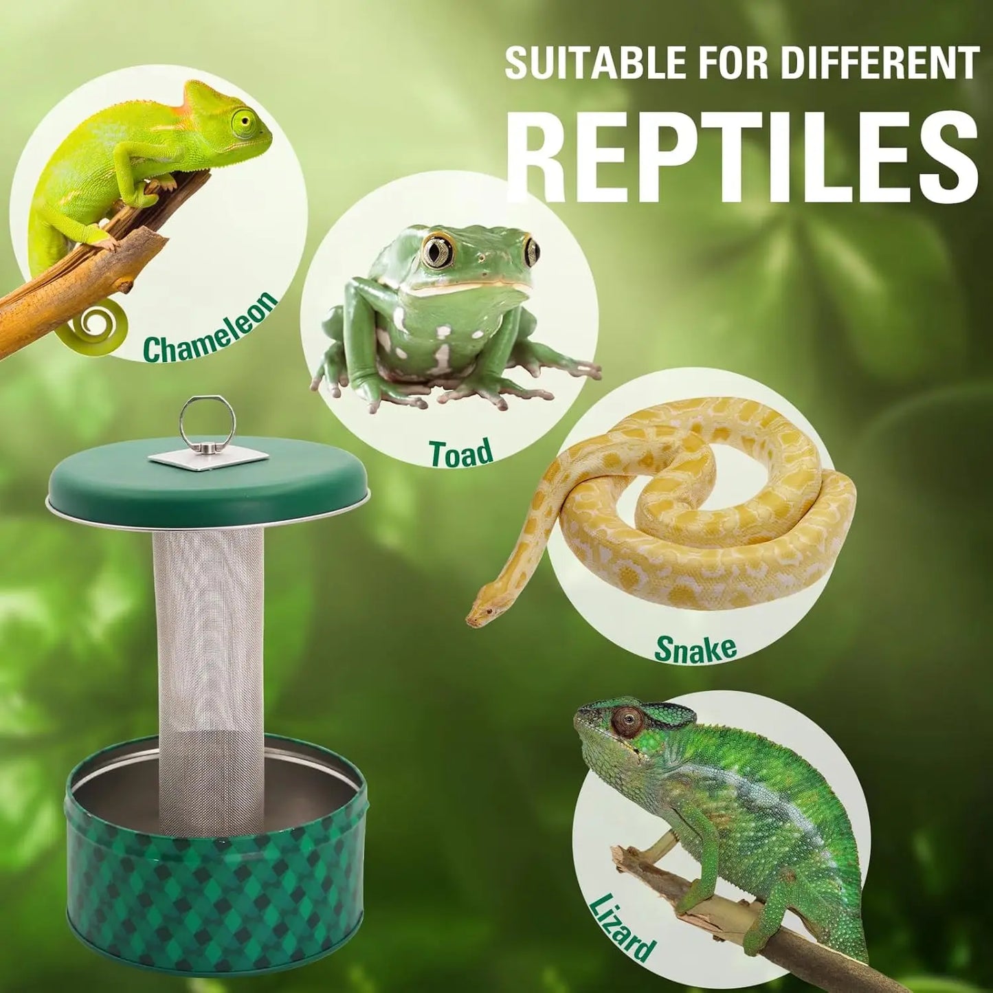 Bearded Dragon Feeder Chameleon Bug Bowl Reptile Feeder Box Wall-Mounted Insect with Suction Cups Tank and Aquarium Accessories