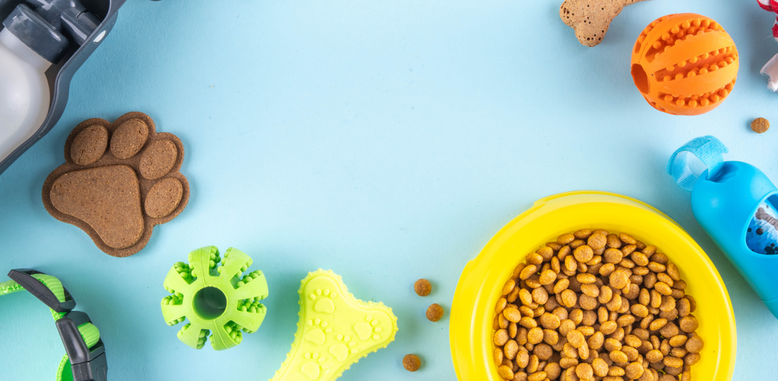 How to Choose the Right Food for Your Pet