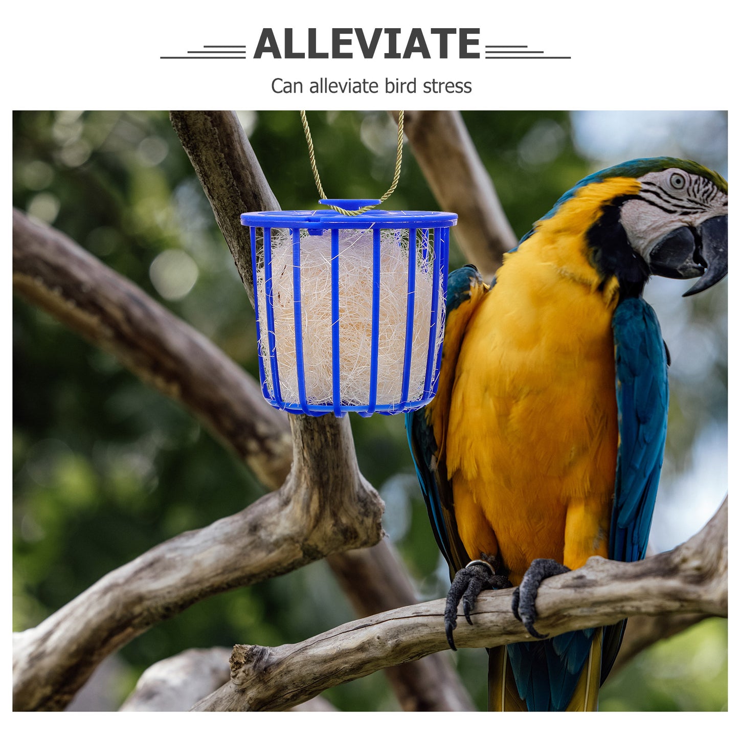 2 Pcs Bird's Nest Toy Breeding Parrot Cage Birds Bedding for Plastic House Hollow Hideaway Shelter Hanging Canary Nests Cages