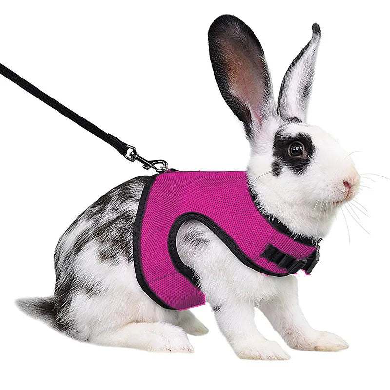 Mesh Breathable Ferret Bunny Harness Leash Set for Small Animals Rabbit Hamsters Summer Walking Pet Lead mascotas Accessories