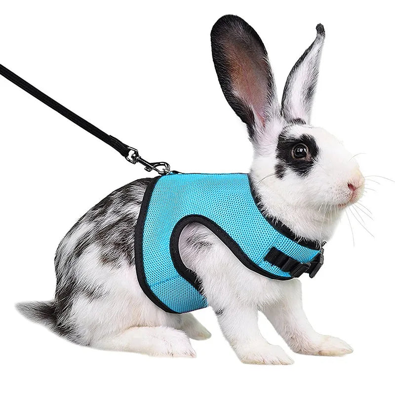 Mesh Breathable Ferret Bunny Harness Leash Set for Small Animals Rabbit Hamsters Summer Walking Pet Lead mascotas Accessories