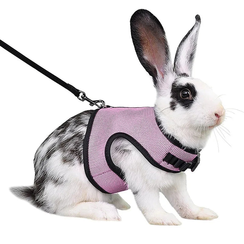 Mesh Breathable Ferret Bunny Harness Leash Set for Small Animals Rabbit Hamsters Summer Walking Pet Lead mascotas Accessories