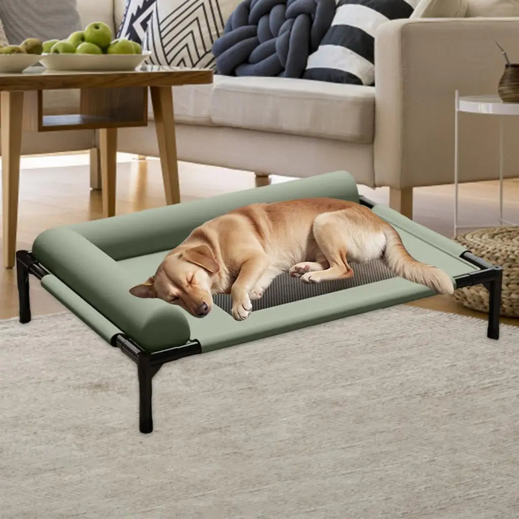 Elevated Pet Bed Durability Practical with Pillow for Small Pets Dogs Kitten Cat Dog Bed Dog Cat Bed Portable