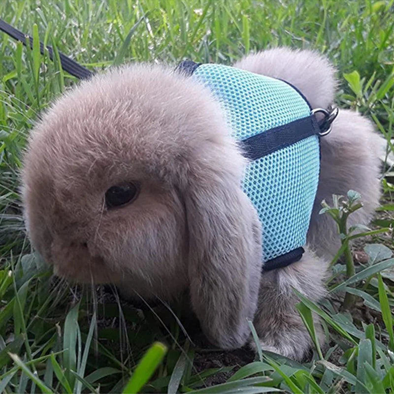 Mesh Breathable Ferret Bunny Harness Leash Set for Small Animals Rabbit Hamsters Summer Walking Pet Lead mascotas Accessories