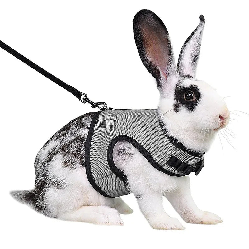 Mesh Breathable Ferret Bunny Harness Leash Set for Small Animals Rabbit Hamsters Summer Walking Pet Lead mascotas Accessories