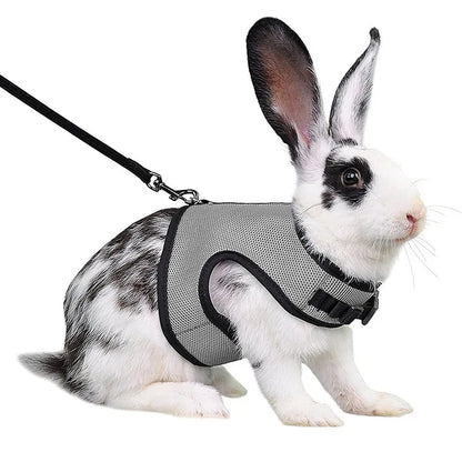 Mesh Breathable Ferret Bunny Harness Leash Set for Small Animals Rabbit Hamsters Summer Walking Pet Lead mascotas Accessories