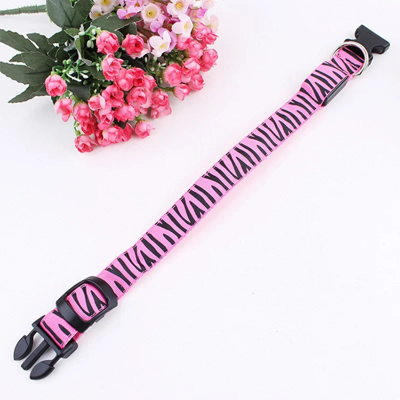Dog Collar Light Personalized Collars Cat Necklace Luminous Pets Accessories Halsband Hond Products All For Dogs