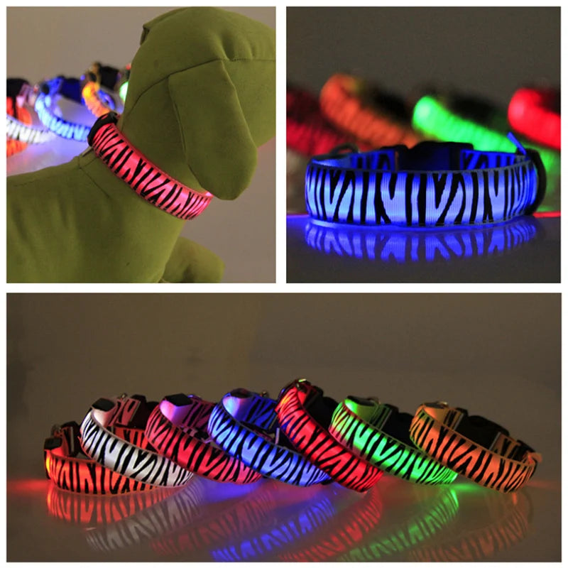 Dog Collar Light Personalized Collars Cat Necklace Luminous Pets Accessories Halsband Hond Products All For Dogs
