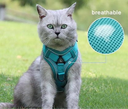 3pc Cat Harness Vest Adjustable Reflective Collars Cute Walking Lead Leash Set Harnesses Necklace For Small Dogs Cat Accessories