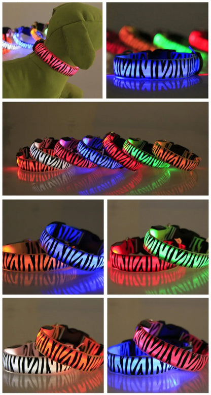 Dog Collar Light Personalized Collars Cat Necklace Luminous Pets Accessories Halsband Hond Products All For Dogs
