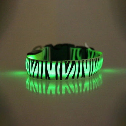 Dog Collar Light Personalized Collars Cat Necklace Luminous Pets Accessories Halsband Hond Products All For Dogs