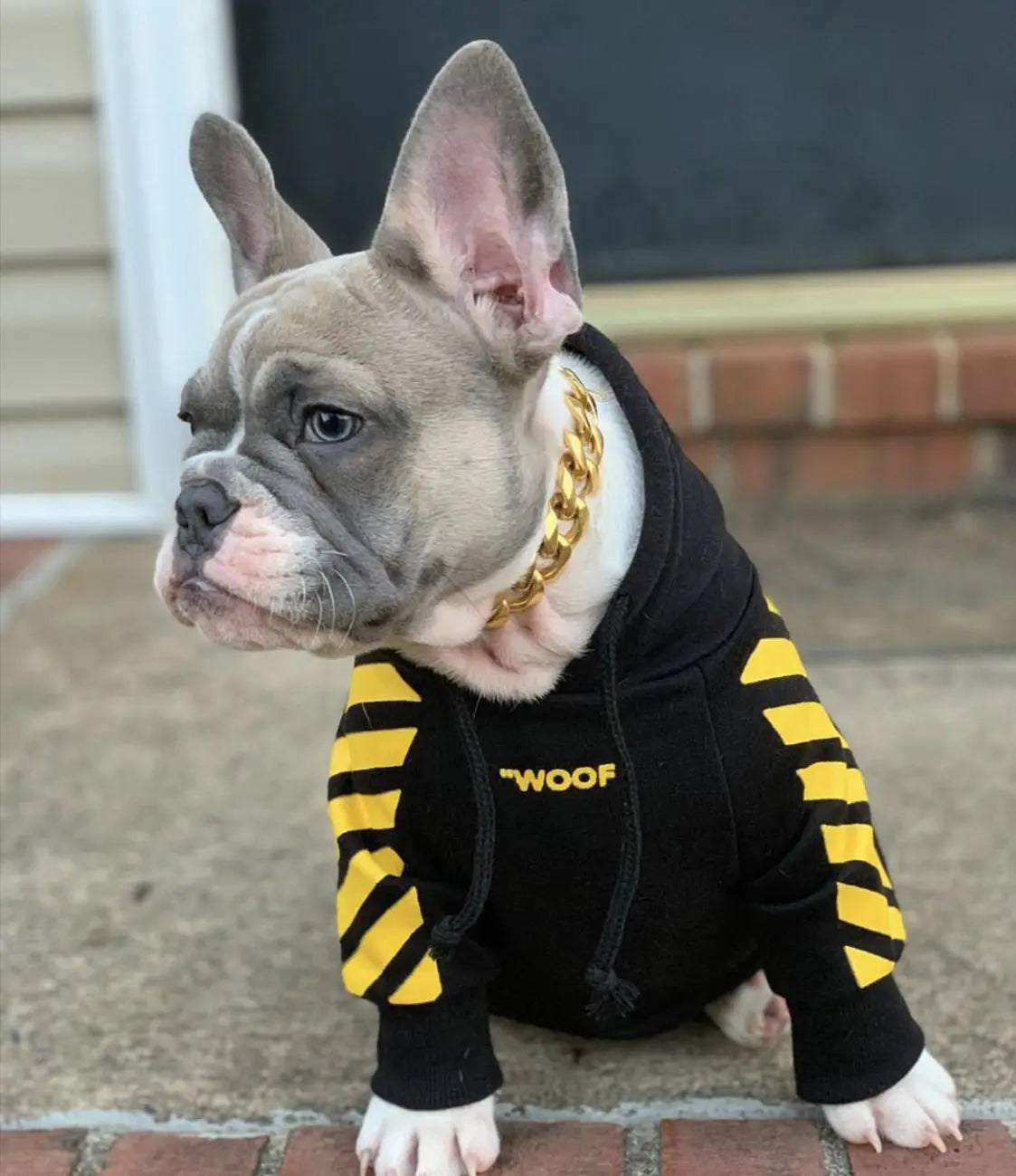 Fashion Dog Hoodie Winter Pet Dog Clothes For Dogs Coat Jacket Cotton Ropa Perro French Bulldog Clothing For Dogs Pets Clothing