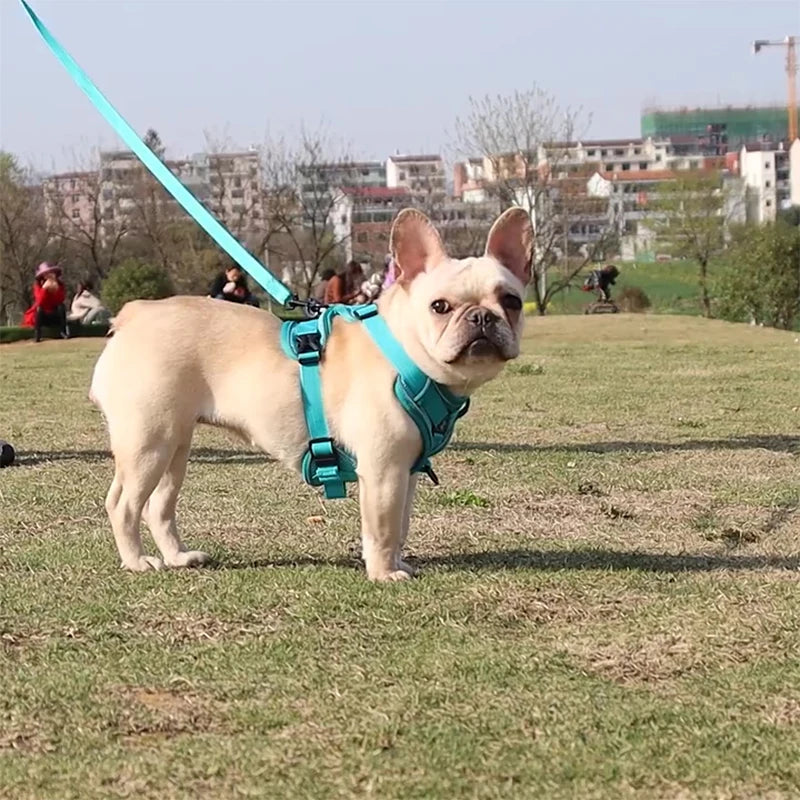 3pc Cat Harness Vest Adjustable Reflective Collars Cute Walking Lead Leash Set Harnesses Necklace For Small Dogs Cat Accessories