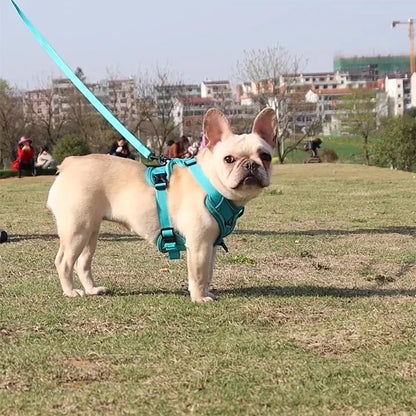 3pc Cat Harness Vest Adjustable Reflective Collars Cute Walking Lead Leash Set Harnesses Necklace For Small Dogs Cat Accessories