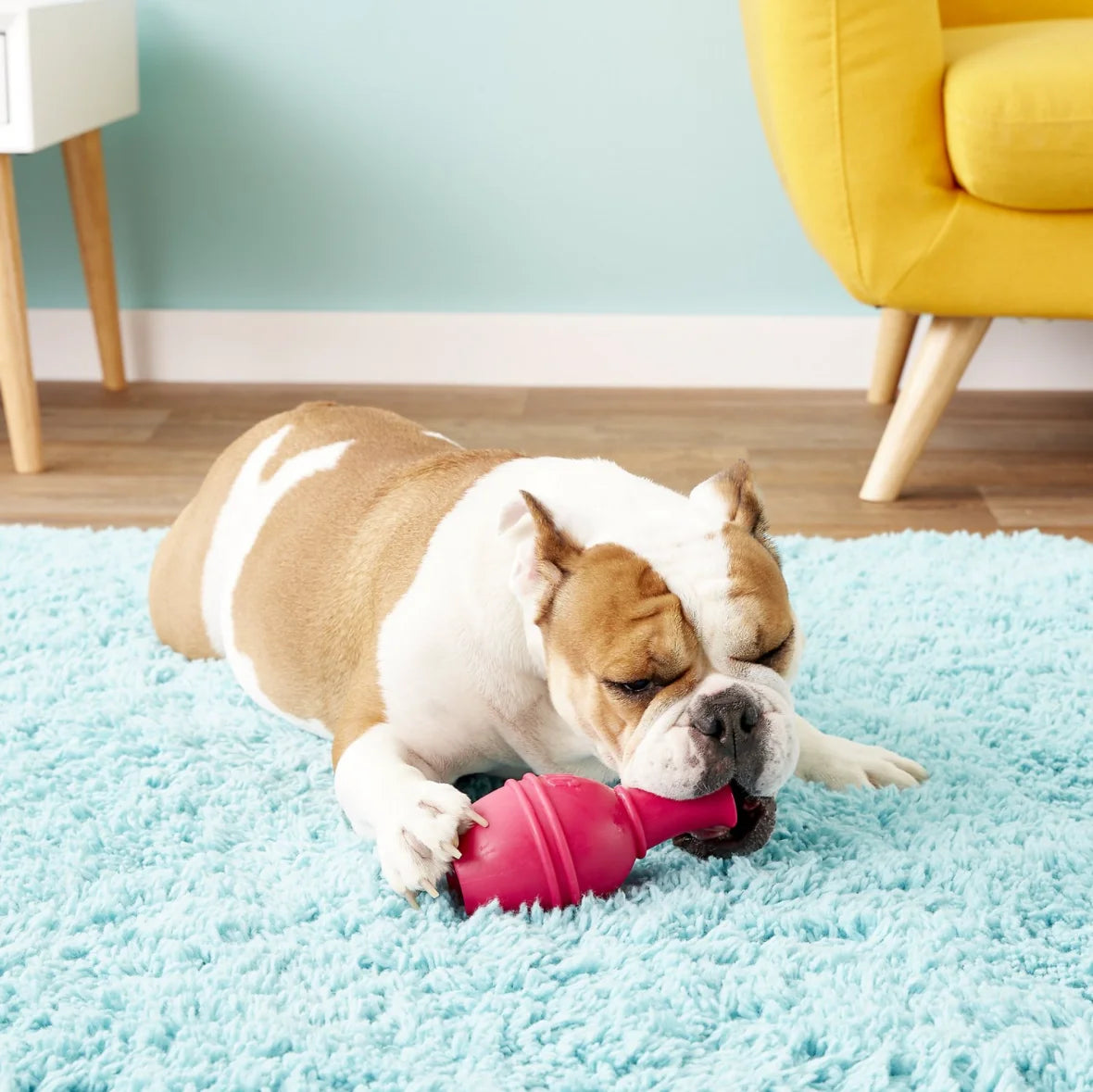 L-Size KONG Genius Leo Dog Toy, Color Varies