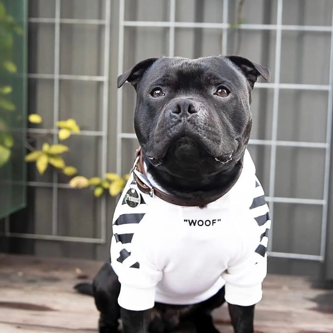 Fashion Dog Hoodie Winter Pet Dog Clothes For Dogs Coat Jacket Cotton Ropa Perro French Bulldog Clothing For Dogs Pets Clothing