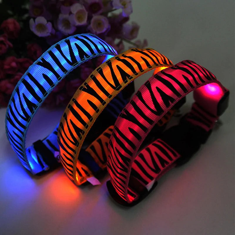 Dog Collar Light Personalized Collars Cat Necklace Luminous Pets Accessories Halsband Hond Products All For Dogs