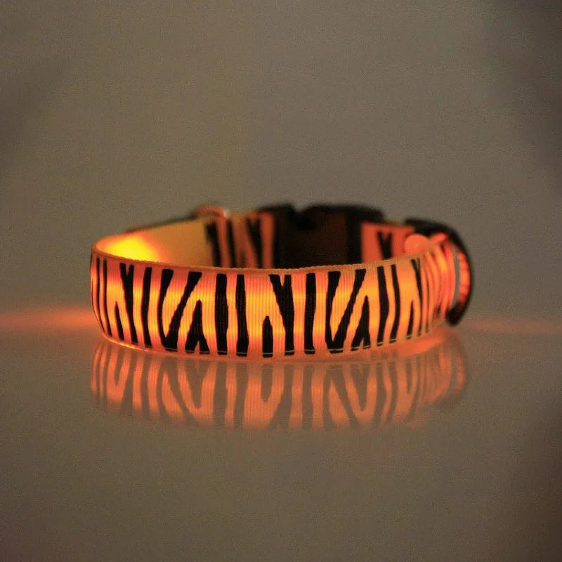 Dog Collar Light Personalized Collars Cat Necklace Luminous Pets Accessories Halsband Hond Products All For Dogs