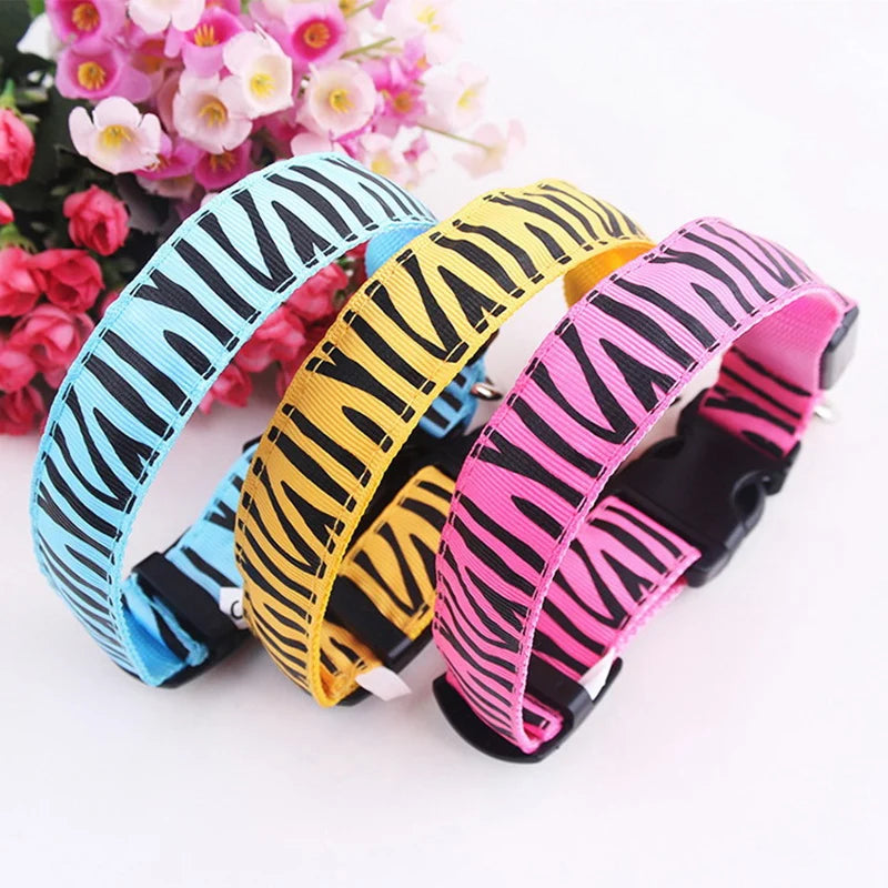 Dog Collar Light Personalized Collars Cat Necklace Luminous Pets Accessories Halsband Hond Products All For Dogs