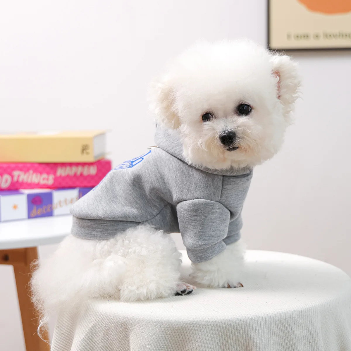 New Arrival Pet Clothing Fall Winter Dog Clothes Small Breed Puppies Embroidered Daisy Print Hoodie Wholesale