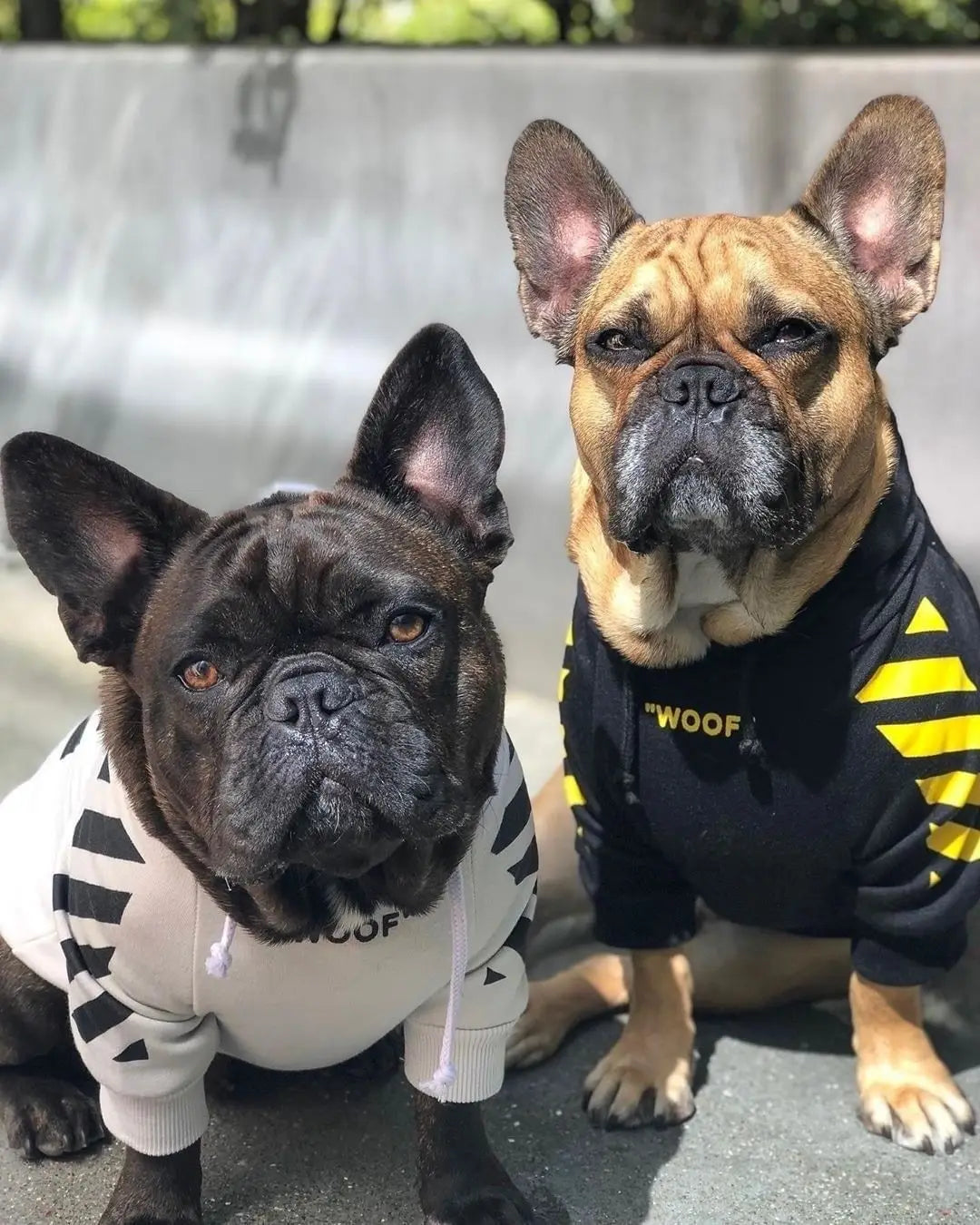 Fashion Dog Hoodie Winter Pet Dog Clothes For Dogs Coat Jacket Cotton Ropa Perro French Bulldog Clothing For Dogs Pets Clothing