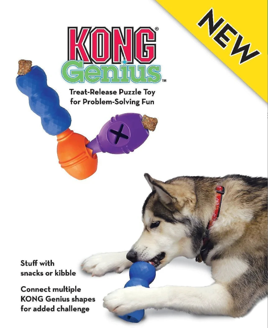 L-Size KONG Genius Leo Dog Toy, Color Varies
