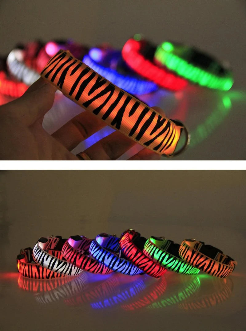 Dog Collar Light Personalized Collars Cat Necklace Luminous Pets Accessories Halsband Hond Products All For Dogs