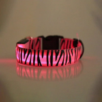 Dog Collar Light Personalized Collars Cat Necklace Luminous Pets Accessories Halsband Hond Products All For Dogs