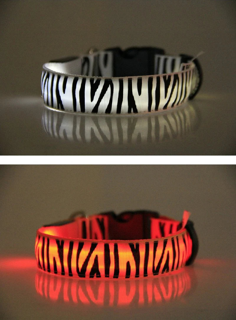 Dog Collar Light Personalized Collars Cat Necklace Luminous Pets Accessories Halsband Hond Products All For Dogs