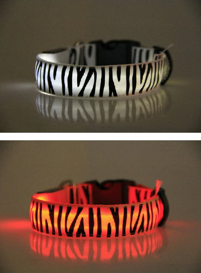 Dog Collar Light Personalized Collars Cat Necklace Luminous Pets Accessories Halsband Hond Products All For Dogs