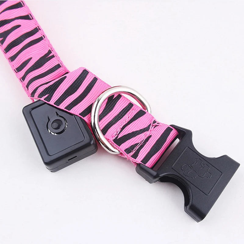 Dog Collar Light Personalized Collars Cat Necklace Luminous Pets Accessories Halsband Hond Products All For Dogs