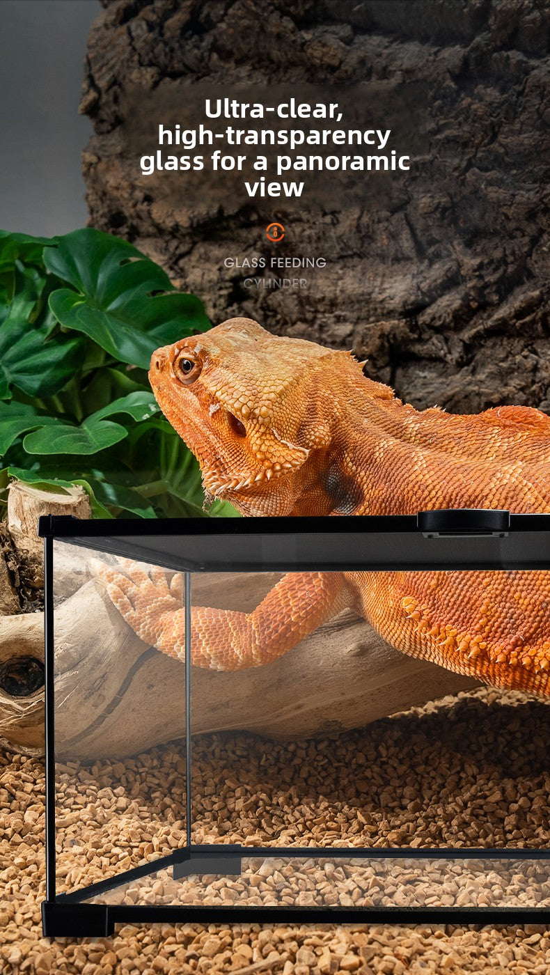 Professional glass reptile terrarium for chameleon,lizard,and snake,suitable for horned frog and water turtle,clear ventilation