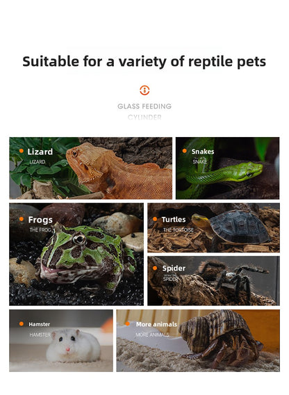 Professional glass reptile terrarium for chameleon,lizard,and snake,suitable for horned frog and water turtle,clear ventilation