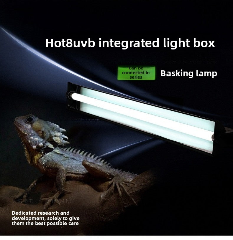 T8 UVB Lamp Set with Reflector,Basking Light for Tortoises&Bearded Dragons,T8 Light Stand 10.0 UVB Tube,Reptile Sun Lamp Kit