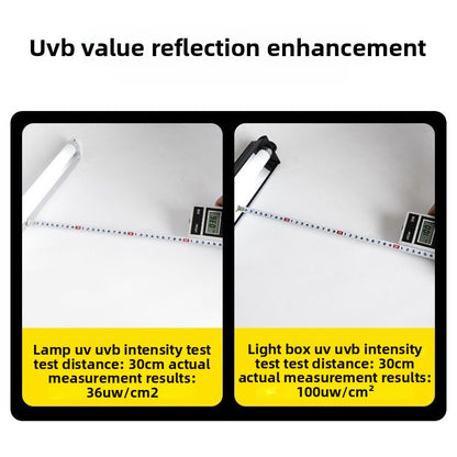 T8 UVB Lamp Set with Reflector,Basking Light for Tortoises&Bearded Dragons,T8 Light Stand 10.0 UVB Tube,Reptile Sun Lamp Kit