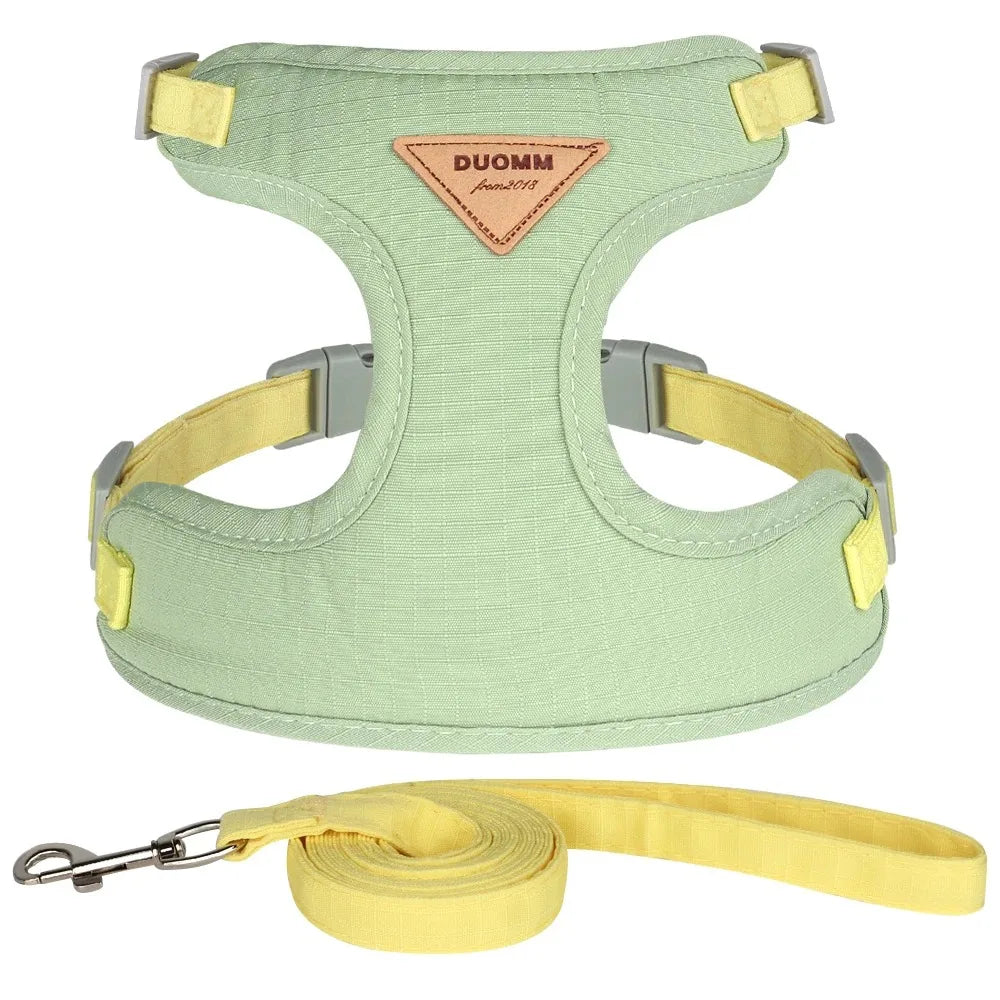 Pet Products for Cats Detachable Collar Pets Kittens Harness Accessories Goods Cute Kitten Animal Animals Stuff Dogs Tag Collars