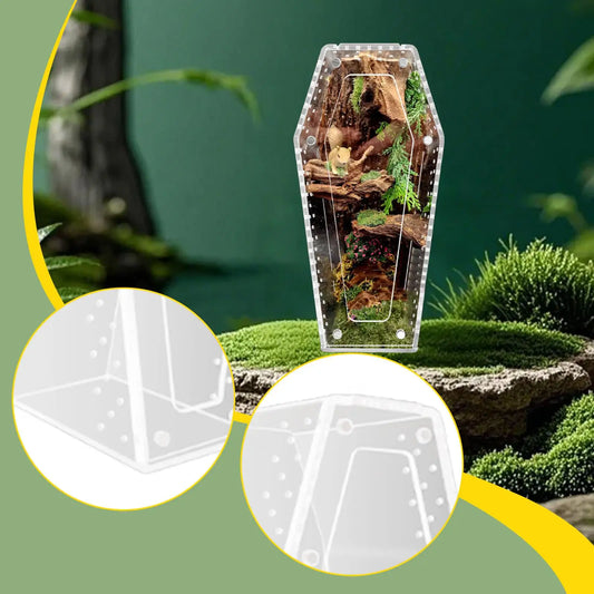 Acrylic Jumping Spider Enclosure Reptile Terrarium Spider Tank