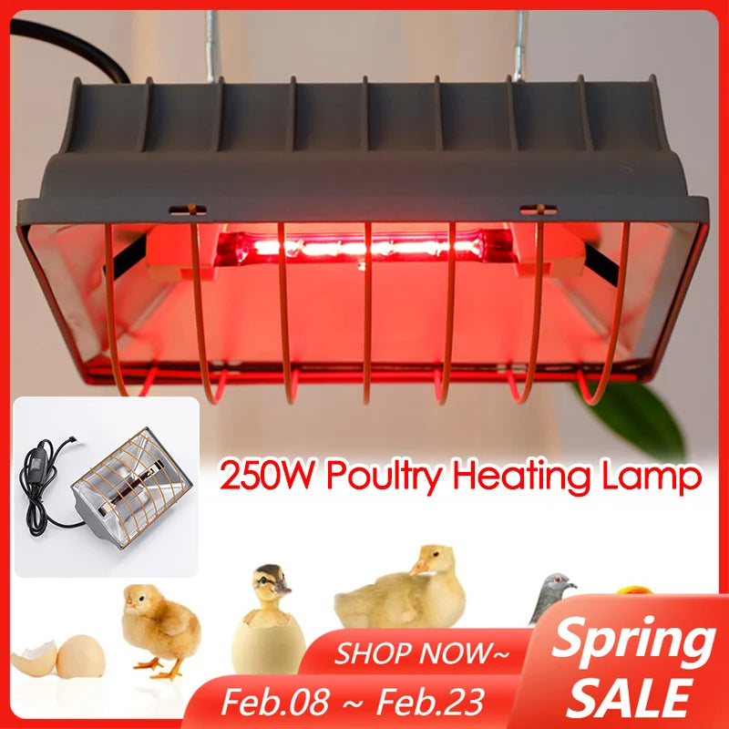 Poultry Heating Lamp 250W Constant Temperature Reptiles Animals Chicken Coop Heater Lamps Pet Heating Breeding Equipment