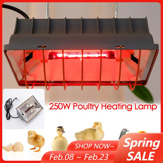 Poultry Heating Lamp 250W Constant Temperature Reptiles Animals Chicken Coop Heater Lamps Pet Heating Breeding Equipment