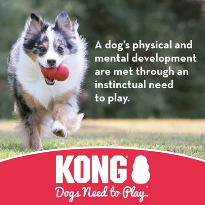2024 Durable Kong Dog Toys Safer Healthy Activity Kong Flyer Rubber Outdoor Flying Disc