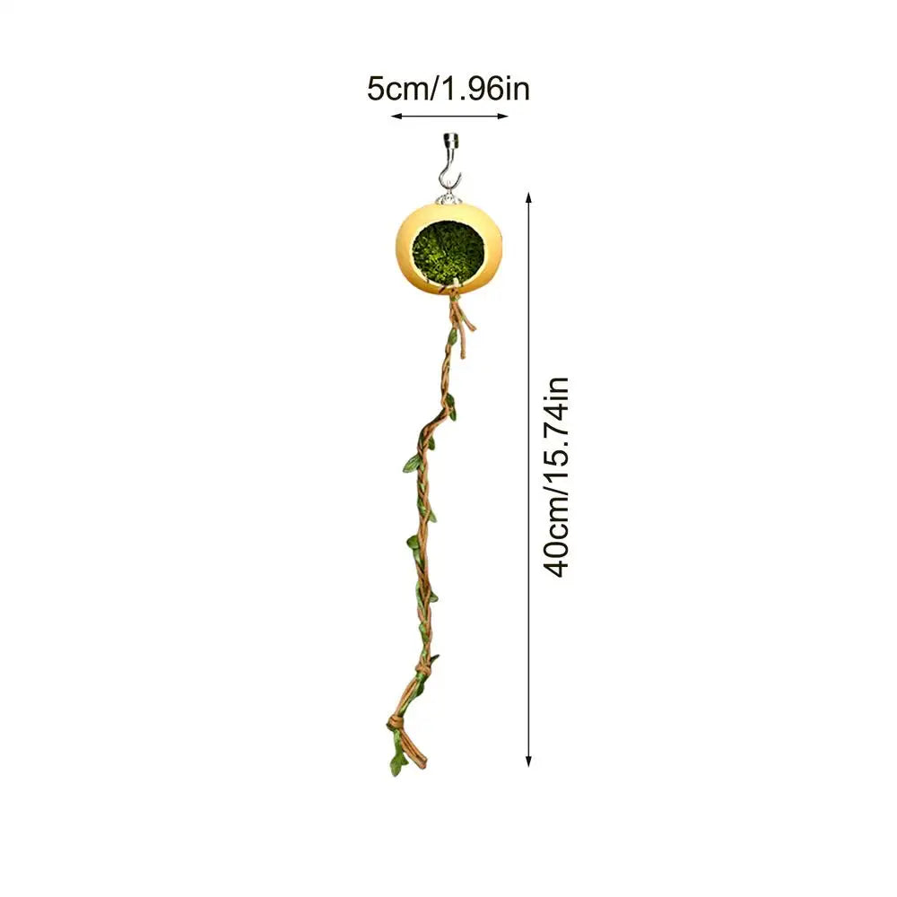 Jumping Spider Terrarium Hideouts With Extended Climbing Strip Magnetic Jumping Spider Habitat Hideaway House Accessories