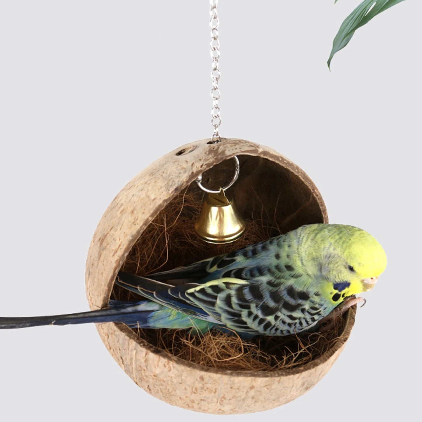 Coconut Shell Bird Nest Bird Cage Coconut Parrot House Outdoor Coconut Bird Shell for Lovebird Canary Hamster Budgies Parrot