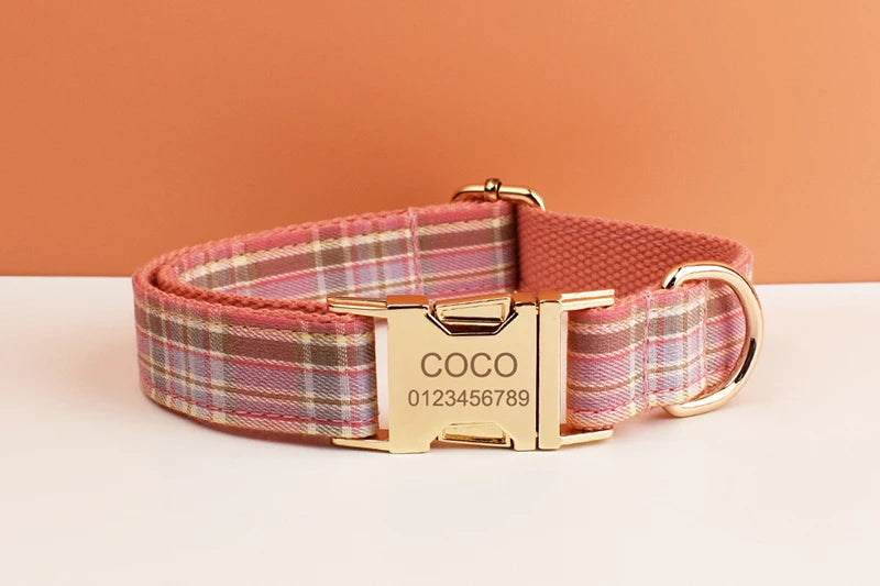 Luxury Dog Leash and Collar ，retractable walking collar for small and big pet .