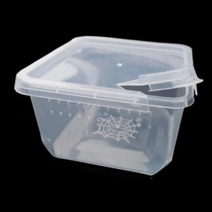 Reptile Accessories Transparent for Scorpion Spider Ants Lizard Living Box Hatching Tank Insect Feeding Box Reptile Habitat