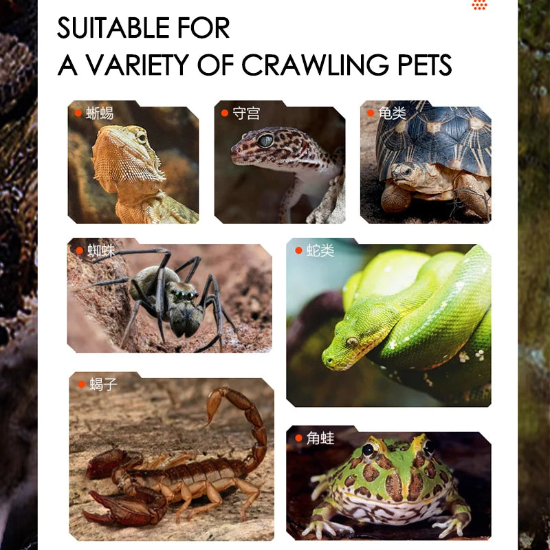 Large Reptile Turtle Feeding Box Rainforest Tank UVA Sun Lamp UVB Heating Integrated Dual Lampshade Amphibians Lighting